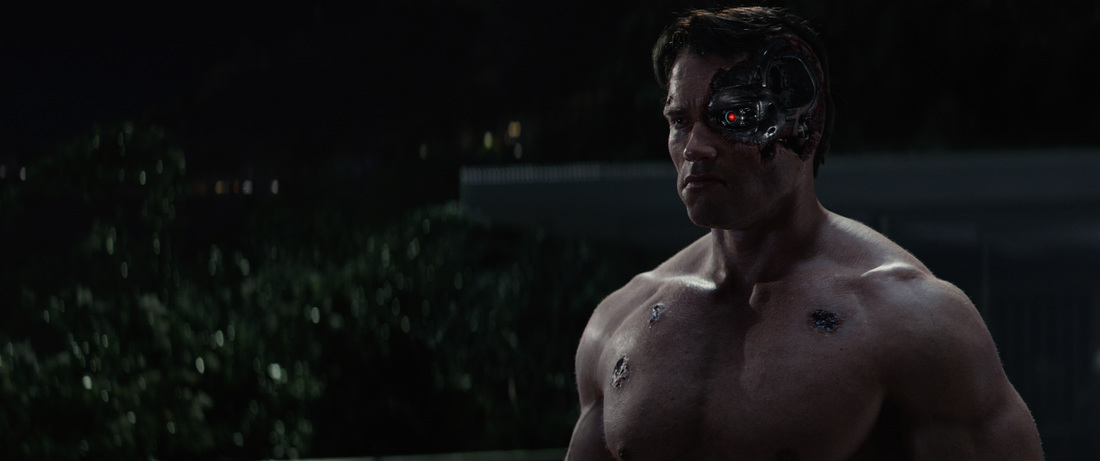 Terminator Genisys,Arnold Schwarzenegger