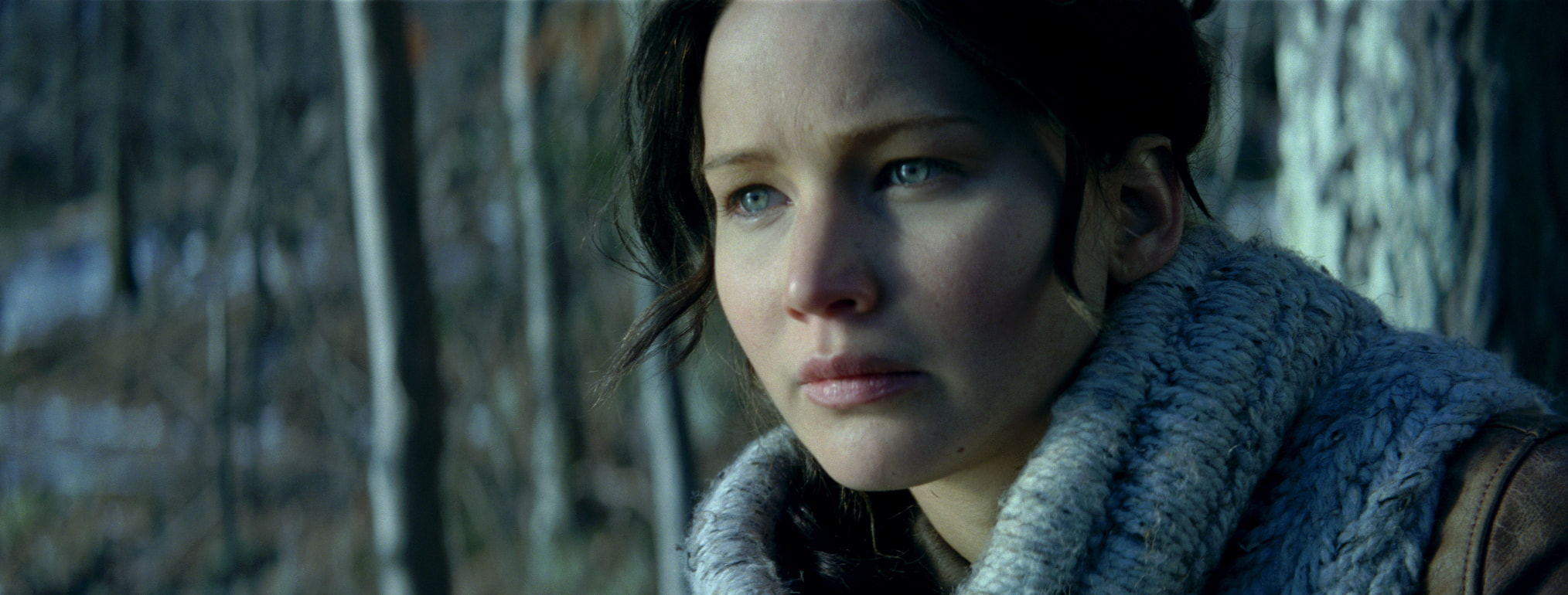 The Hunger Games,Catching Fire,Jennifer Lawrence